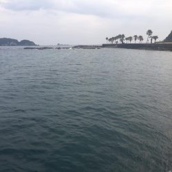 サビキにイガミ