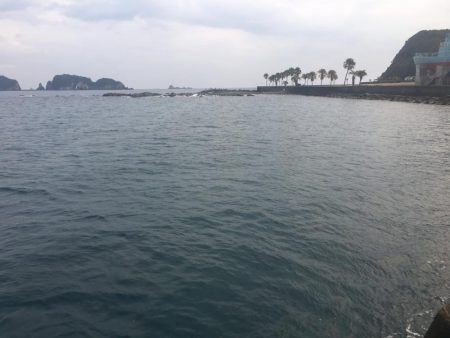 サビキにイガミ