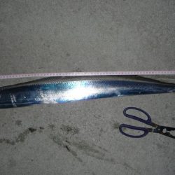 激渋でもメーター超