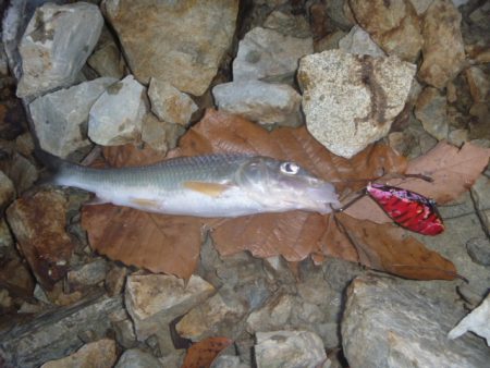 バイブレーションを