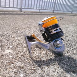 大サバ、良型アジ、グレ沢山！