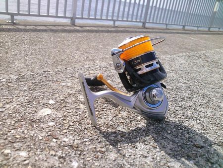 大サバ、良型アジ、グレ沢山！