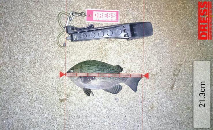 短時間メバリング