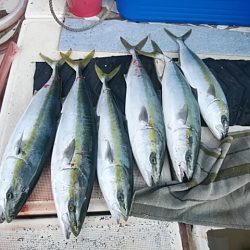 大物釣果速報！●光義丸：平戸市早福港