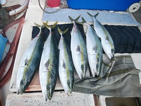 大物釣果速報！●光義丸：平戸市早福港