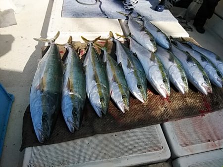 大物釣果速報！●光義丸：平戸市早福港