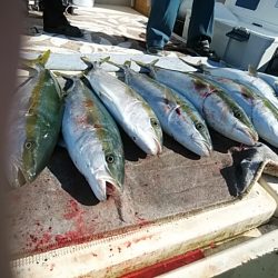 大物釣果速報！●光義丸：平戸市早福港