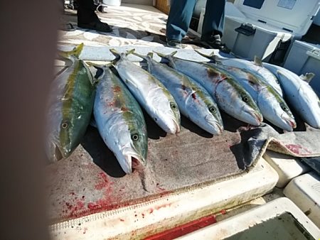 大物釣果速報！●光義丸：平戸市早福港