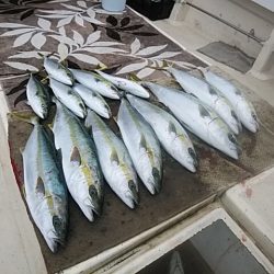 大物釣果速報！●光義丸：平戸市早福港