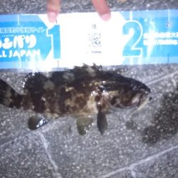 11月最後の釣り