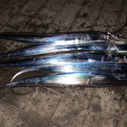 表層にあたりが集中