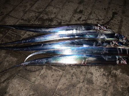 表層にあたりが集中