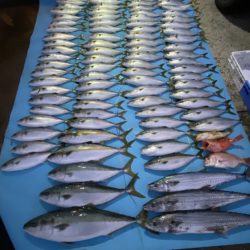 まるいち丸 ZERO-1 釣果