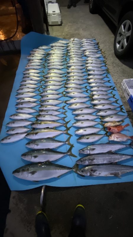 まるいち丸 ZERO-1 釣果