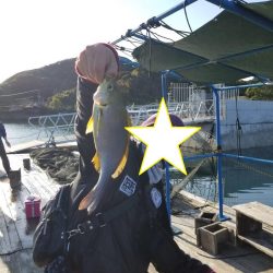 鯛釣りイサキ釣りｗ