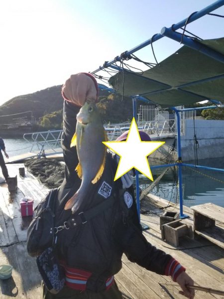 鯛釣りイサキ釣りｗ