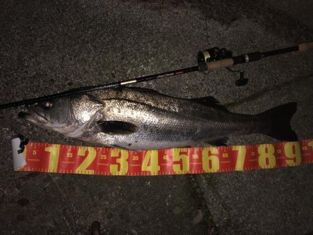 大連敗からのやっと釣れました