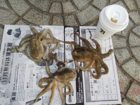 1日でキスの型が・・・