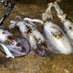 水平フォールってこんな効く！？