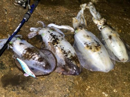 水平フォールってこんな効く！？