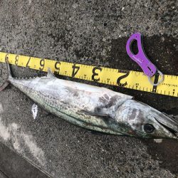 モンスター降臨!!