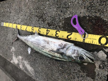 モンスター降臨!!