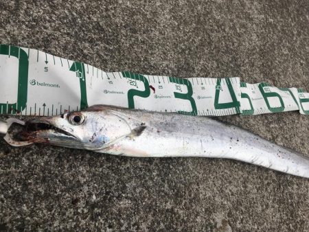 出た！ドラゴン！