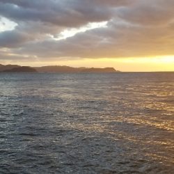 キロ狙いでエギングに！