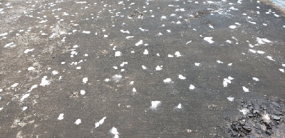 念願の…..ヒラメェェ！！