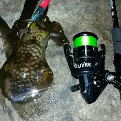 絶好のコンディション