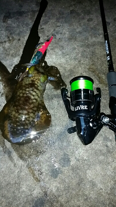 絶好のコンディション