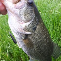 冬の紀の川本流40UPバス！！