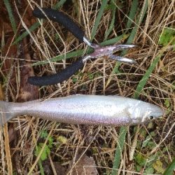 久しぶりのキス