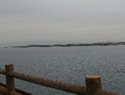 青物が釣りたくて