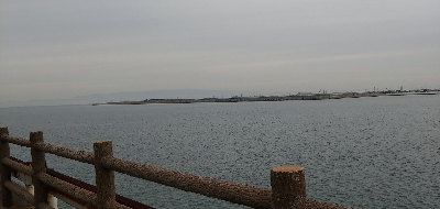 青物が釣りたくて