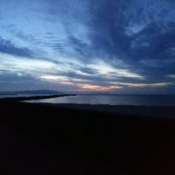 まさかのヒラメ