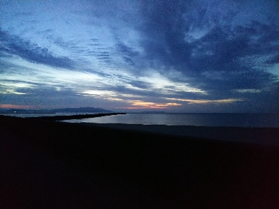 まさかのヒラメ