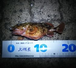 ヘチ釣り ガルプ祭り