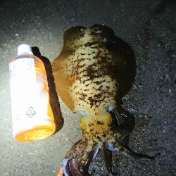 人がいない(笑)