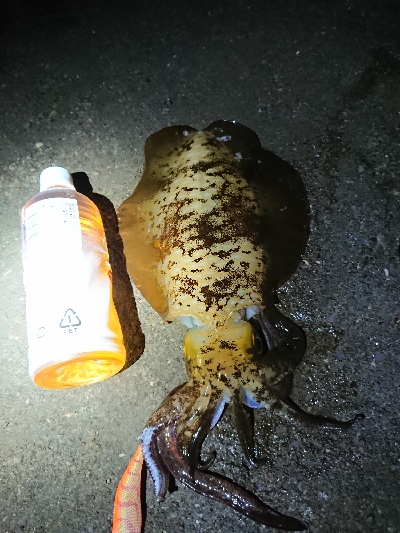 人がいない(笑)