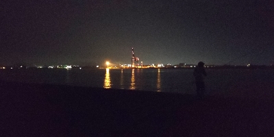 水軒にてチヌ釣れました