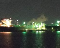 ガシラ21センチ