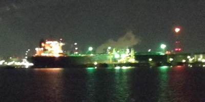 ガシラ21センチ