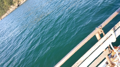 ボートマゴチング！