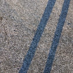 久しぶりの魚です!