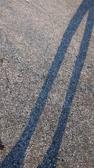 久しぶりの魚です！