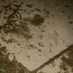 マイクロベイトパターン