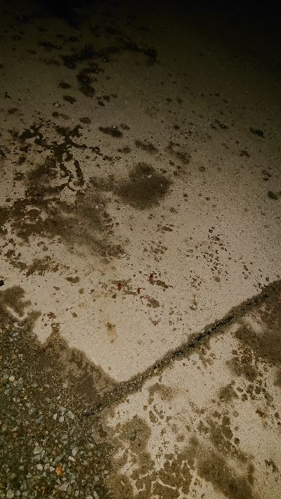 マイクロベイトパターン