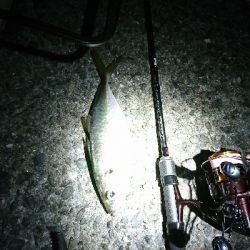 newタックルの入魂式