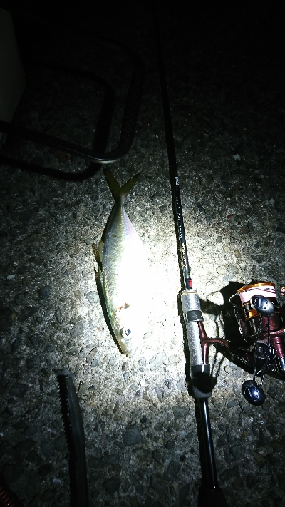 newタックルの入魂式